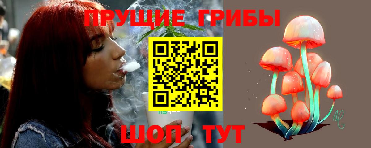 Сергиев Посад  Галлюциногенные грибы Psilocybine cubensis  Псилоцибиновые грибы мицелий  Вход с VPN 